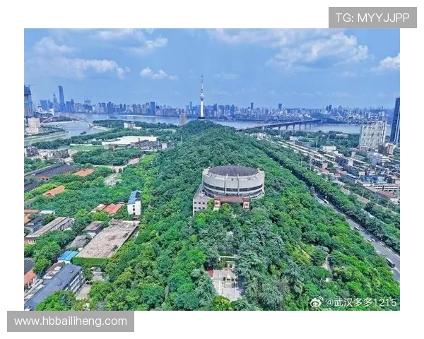 武汉三镇城市发展与历史文化传承融合探索及未来愿景展望