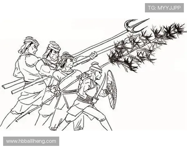 武汉排球队的阵地战体系解析与战术创新探索