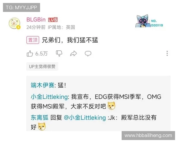 赛后分析：JDG与BLG对决中的战术运用与经验总结